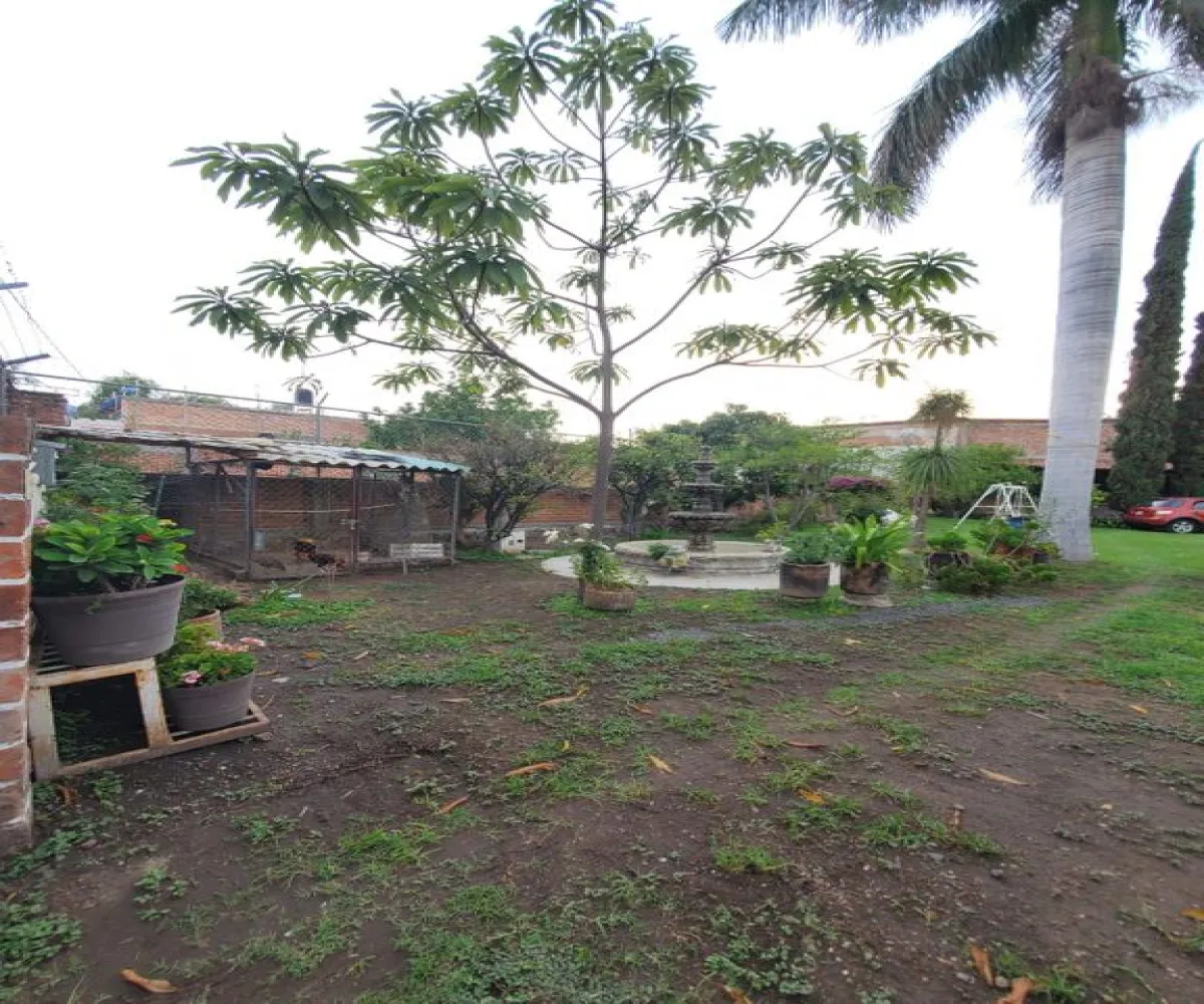 Casa En Venta,Los Cedros,Ixtlahuacan de los Membrillos S/N, Ixtlahuacán de los Membrillos, Jalisco 45850, 1 Cuarto,2 Baños,Ixtlahuacan de los Membrillos,1,p03MmAL