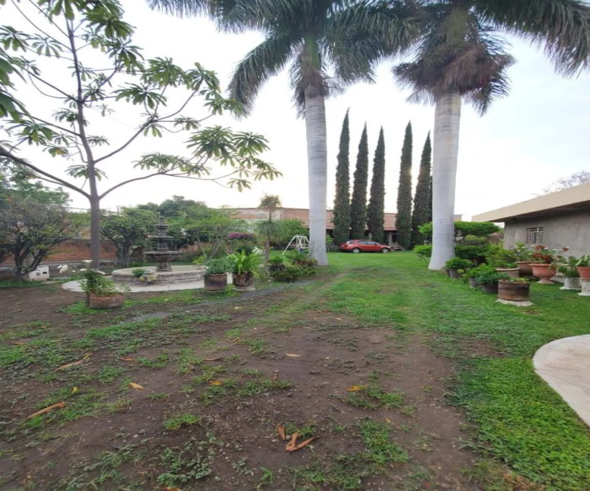 Casa En Venta,Los Cedros,Ixtlahuacan de los Membrillos S/N, Ixtlahuacán de los Membrillos, Jalisco 45850, 1 Cuarto,2 Baños,Ixtlahuacan de los Membrillos,1,p03MmAL