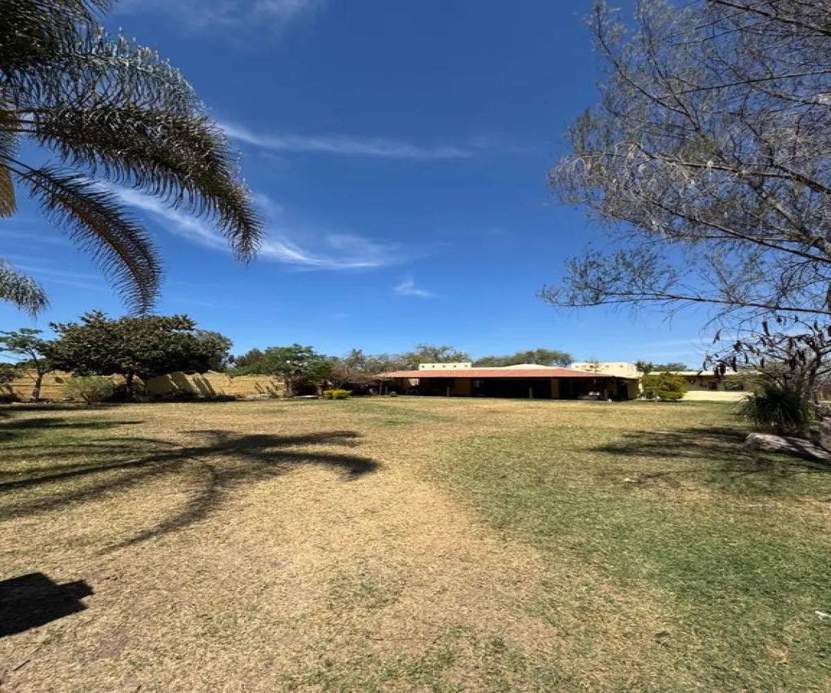 Casa En Venta,Calle Romulo Chavarin S/N, Tala, Jalisco 45300, 1 Cuarto,2 Baños,Calle Romulo Chavarin,1,p7ZFgal