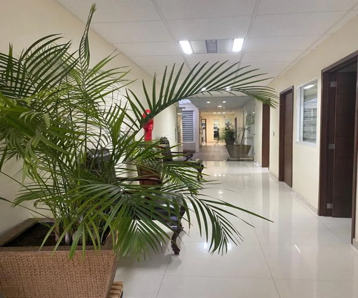 Oficina En Renta,Americana,Americana S/N, Guadalajara, Jalisco 44160,12 Baños,Americana,1,pCjZbE0