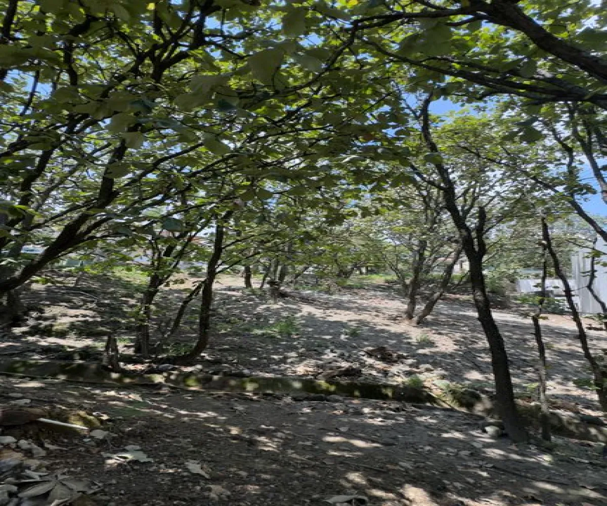 Terreno En Venta,Bugambilias,Bugambilias S/N, Zapopan, Jalisco 45238,Bugambilias,pUVhdvJ