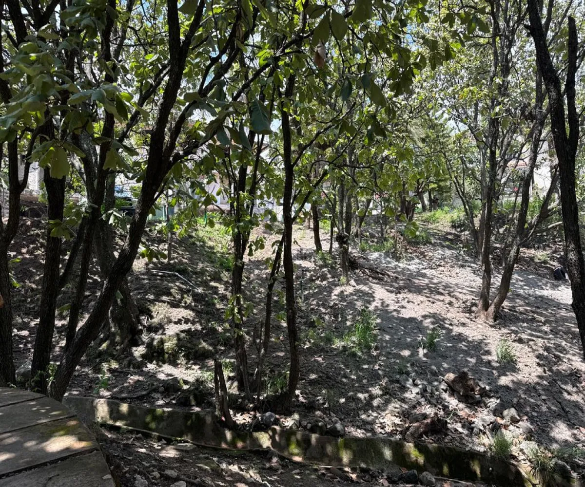 Terreno En Venta,Bugambilias,Bugambilias S/N, Zapopan, Jalisco 45238,Bugambilias,pUVhdvJ