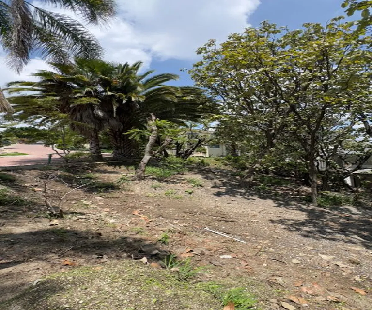 Terreno En Venta,Bugambilias,Bugambilias S/N, Zapopan, Jalisco 45238,Bugambilias,pUVhdvJ