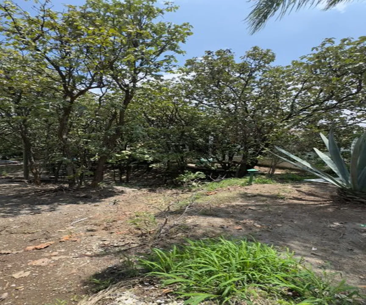 Terreno En Venta,Bugambilias,Bugambilias S/N, Zapopan, Jalisco 45238,Bugambilias,pUVhdvJ