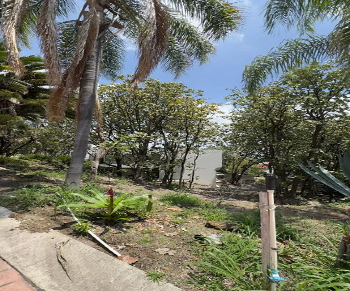 Terreno En Venta,Bugambilias,Bugambilias S/N, Zapopan, Jalisco 45238,Bugambilias,pUVhdvJ