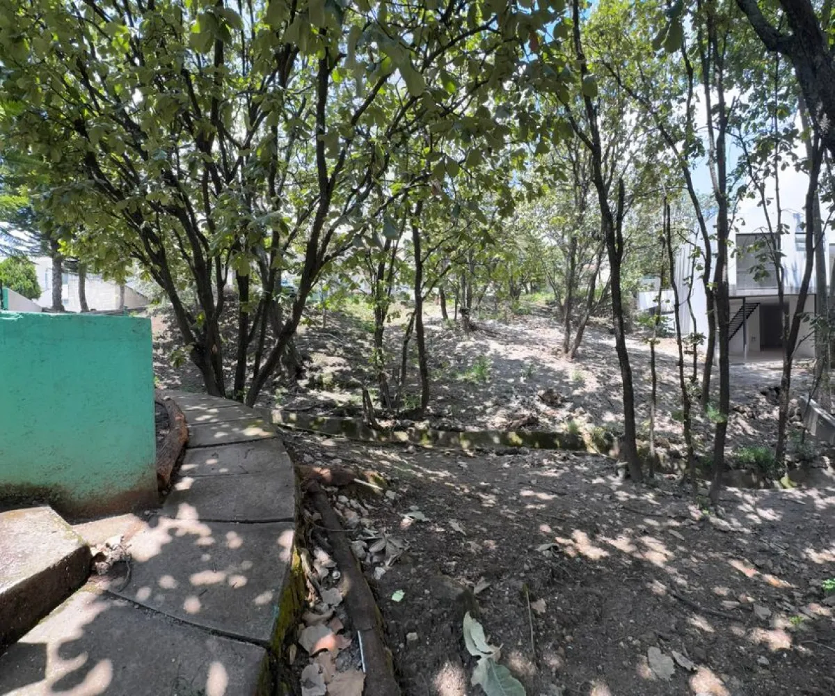 Terreno En Venta,Bugambilias,Bugambilias S/N, Zapopan, Jalisco 45238,Bugambilias,pUVhdvJ