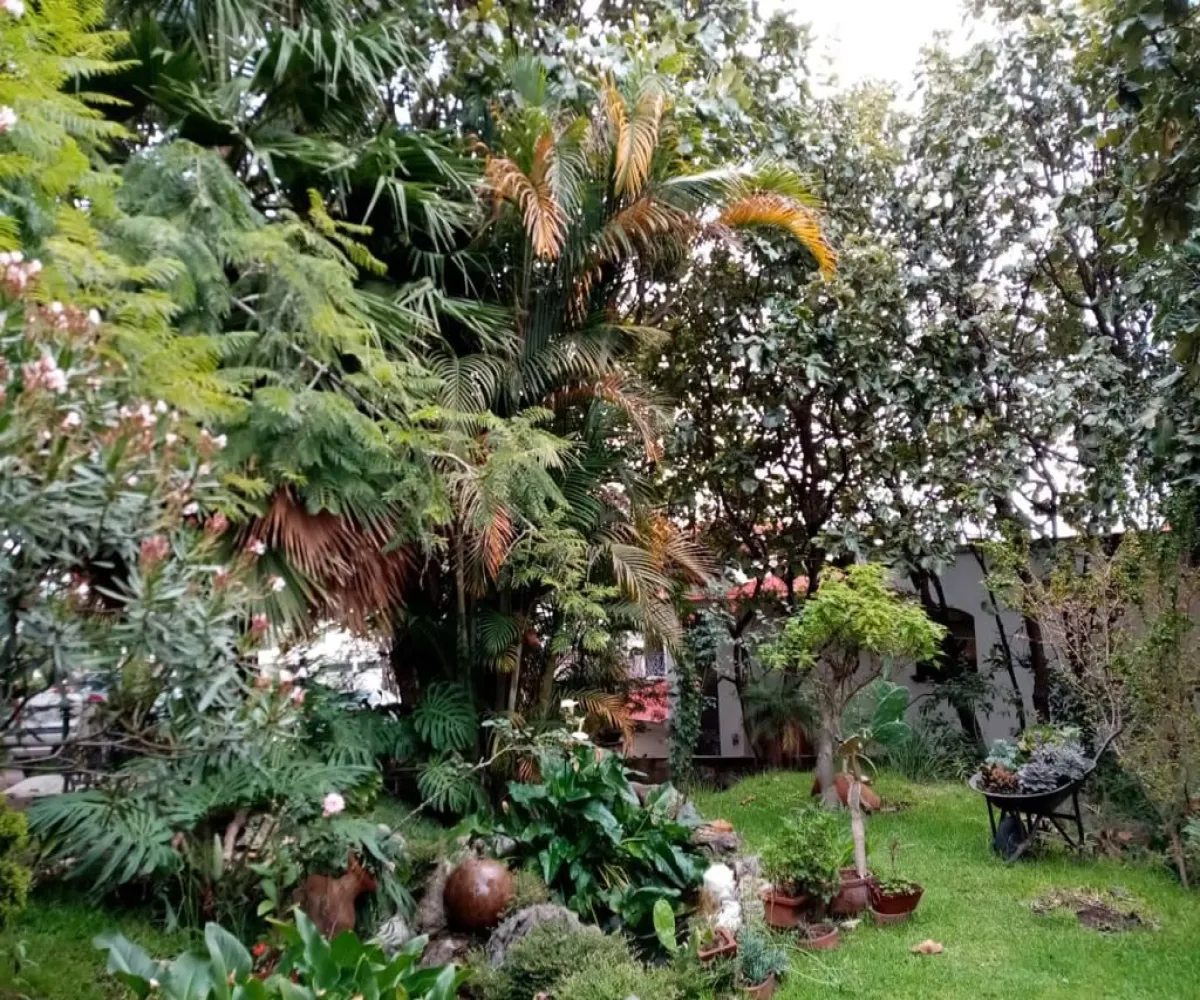 Terreno En Venta,Bugambilias,BUGAMBILIAS 2DA. SECCION S/N, Zapopan, Jalisco 45238,BUGAMBILIAS 2DA. SECCION,pXy5vCq