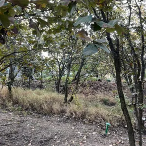 Terreno En Venta,Bugambilias,BUGAMBILIAS 2DA. SECCION S/N, Zapopan, Jalisco 45238,BUGAMBILIAS 2DA. SECCION,pXy5vCq