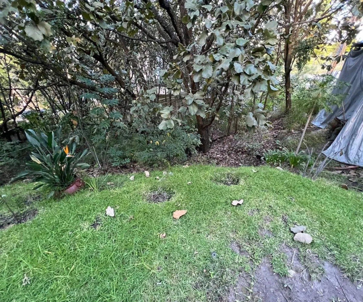 Terreno En Venta,Bugambilias,BUGAMBILIAS 2DA. SECCION S/N, Zapopan, Jalisco 45238,BUGAMBILIAS 2DA. SECCION,pXy5vCq