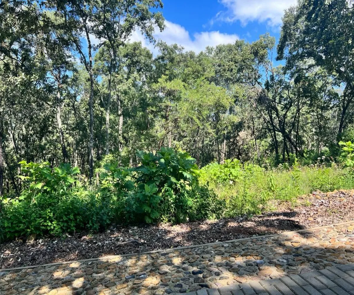 Terreno En Venta,El Arenal,El Arenal S/N, El Arenal, Jalisco 45350,El Arenal,piKd03D