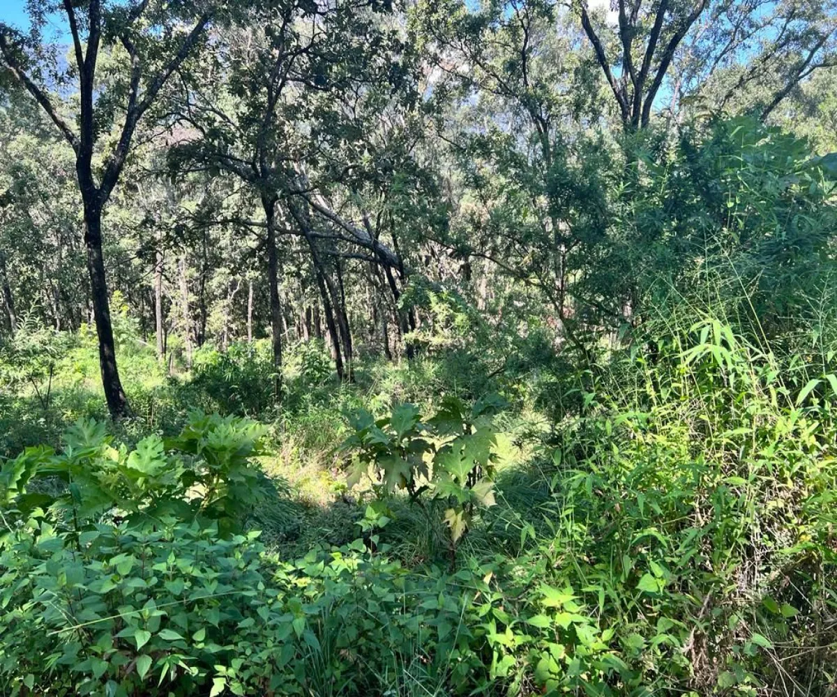 Terreno En Venta,El Arenal,El Arenal S/N, El Arenal, Jalisco 45350,El Arenal,piKd03D