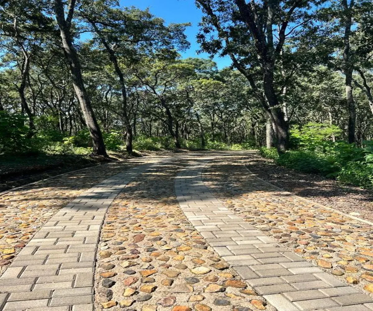 Terreno En Venta,El Arenal,El Arenal S/N, El Arenal, Jalisco 45350,El Arenal,piKd03D