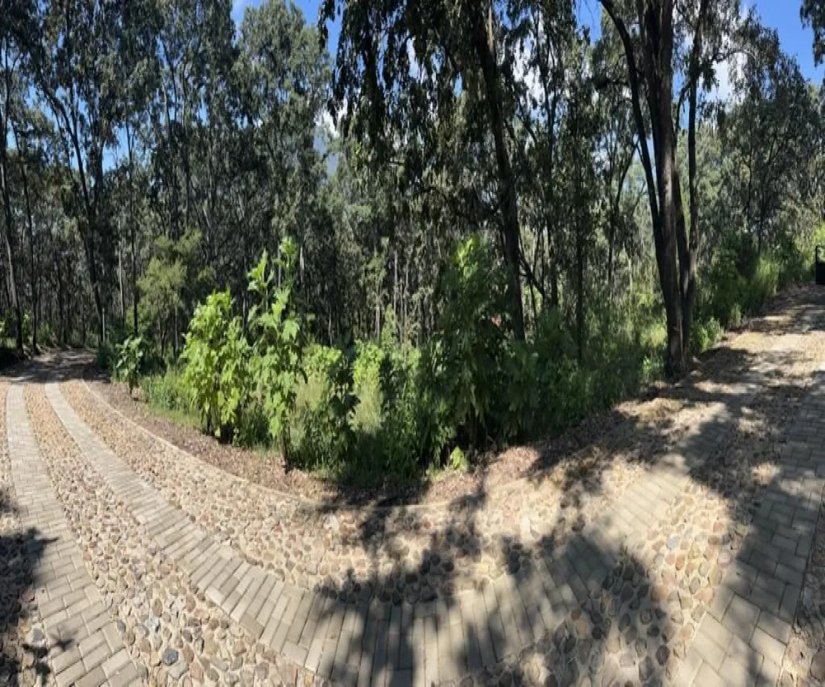 Terreno En Venta,El Arenal,El Arenal S/N, El Arenal, Jalisco 45350,El Arenal,piKd03D