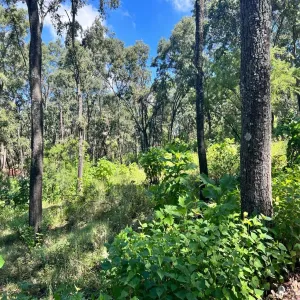 Terreno En Venta,El Arenal,El Arenal S/N, El Arenal, Jalisco 45350,El Arenal,piKd03D