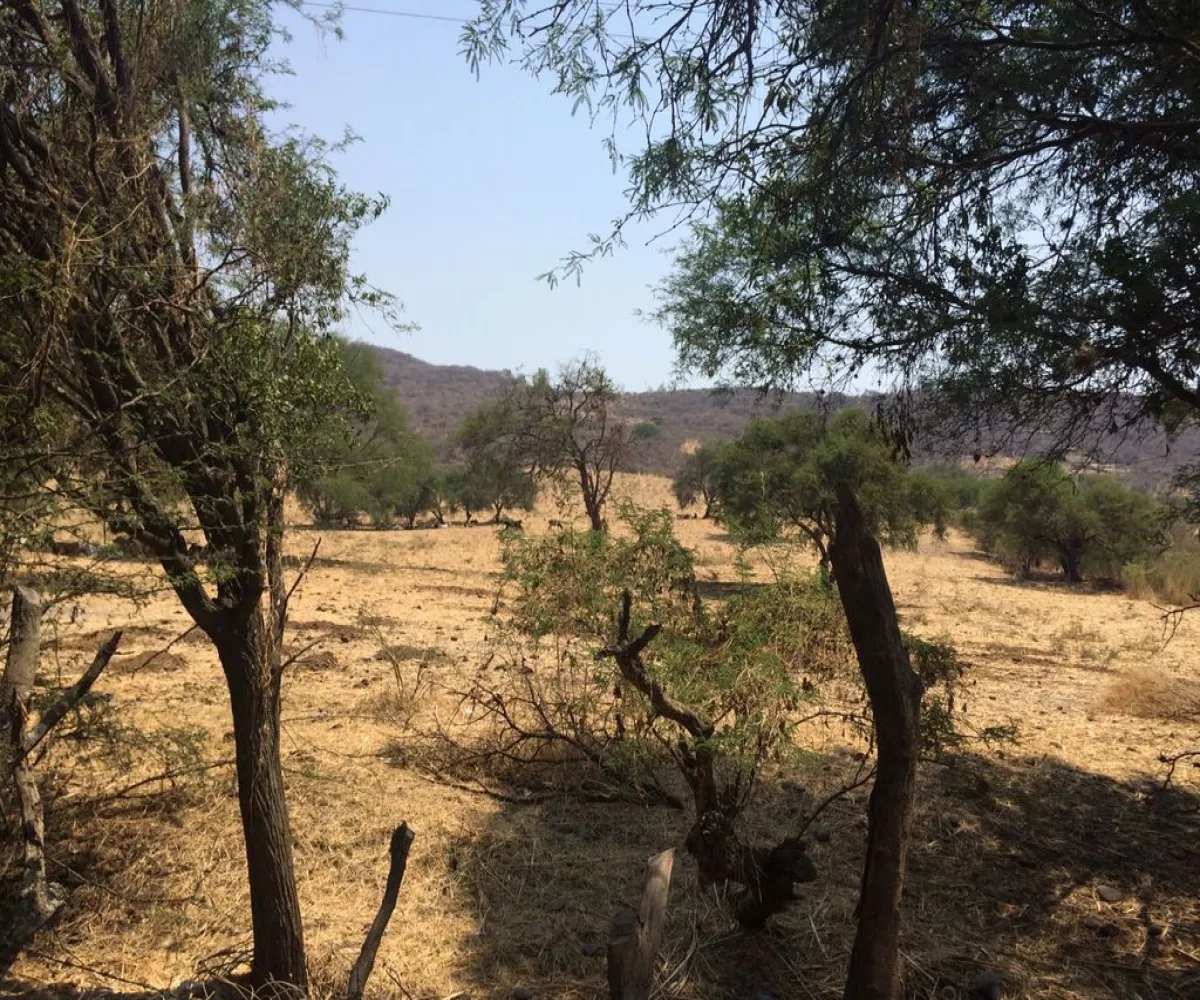 Terreno En Venta,Ixtlahuacan de los Membrillos,ALDAMA S/N, Ixtlahuacán de los Membrillos, Jalisco 45850,ALDAMA,pl3BHHF