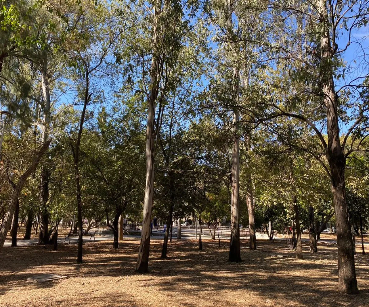 Departamento En Venta,Jardines del Bosque Norte,Calle Parque de Las Estrellas 2712 S/N, Guadalajara, Jalisco 44520, 2 Habitaciones,2 Baños,Calle Parque de Las Estrellas 2712,3,ppSoAZQ