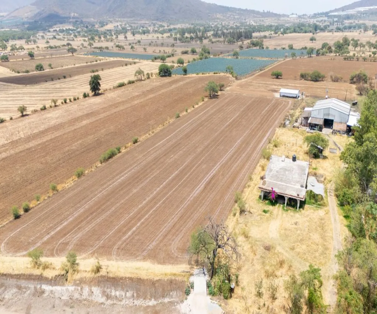 Terreno En Venta,atacco,Valle de las Flores B, Tlajomulco de Zúñiga, Jalisco 45680,Valle de las Flores,p6Rlu3c