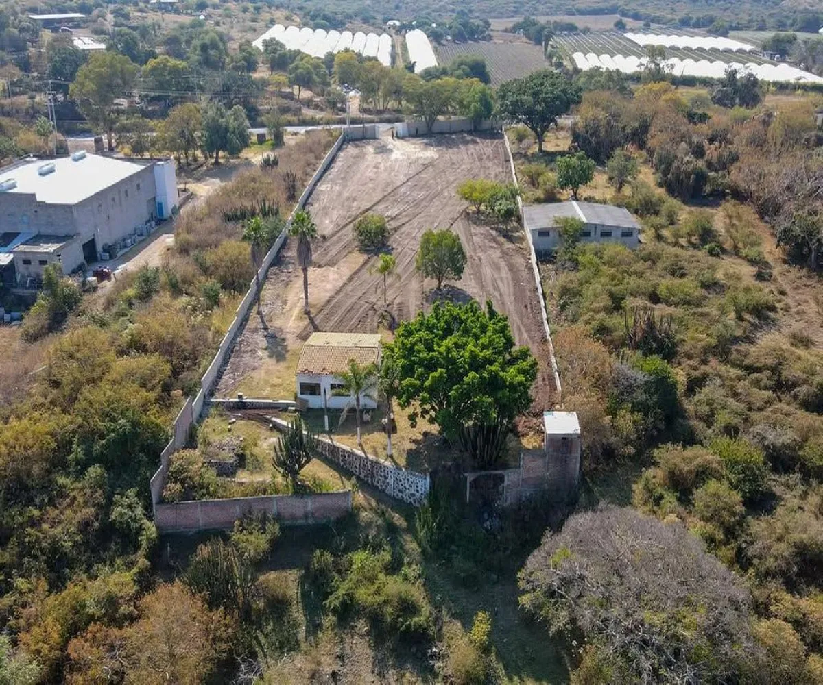 Terreno En Venta,De la Cofradia,Herrera y Cairo 100, Tuxcueca, Jalisco 49430,Herrera y Cairo,plkis9Q