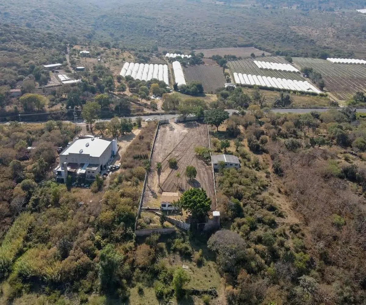 Terreno En Venta,De la Cofradia,Herrera y Cairo 100, Tuxcueca, Jalisco 49430,Herrera y Cairo,plkis9Q