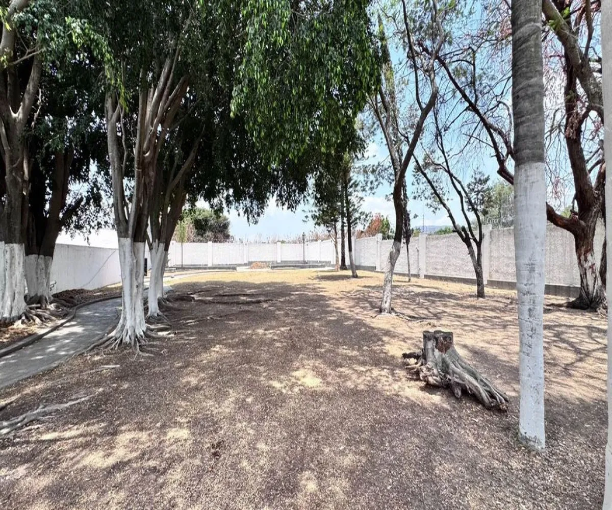 Casa En Venta,Rincón de Los Copales,Camino a San Isidro 1003, Tlajomulco de Zúñiga, Jalisco 45645, 2 Habitaciones,2 Baños,Camino a San Isidro,1,p22LQu1