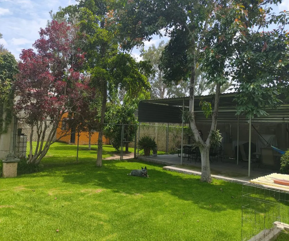 Casa En Venta,Camino Antiguo a San Isidro Mazatepec 97, Tlajomulco de Zúñiga, Jalisco 45645,5 Baños,Camino Antiguo a San Isidro Mazatepec,2,pWX8bs9