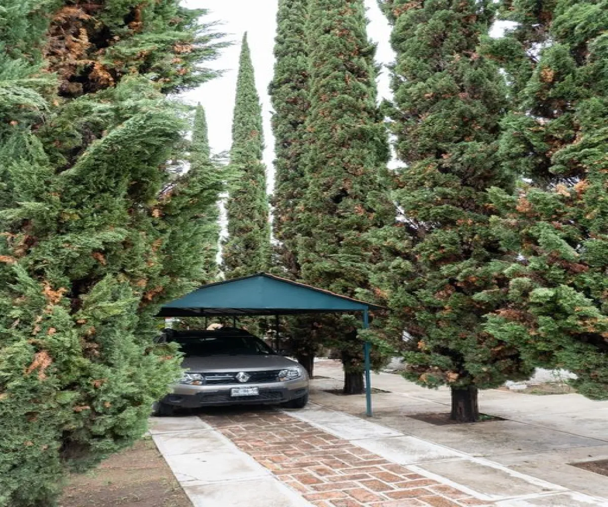 Casa En Venta,Los Pinos Campestre,María Greever 4328, Zapopan, Jalisco 45239, 2 Habitaciones,1 Baño,María Greever,2,p8ecXP0