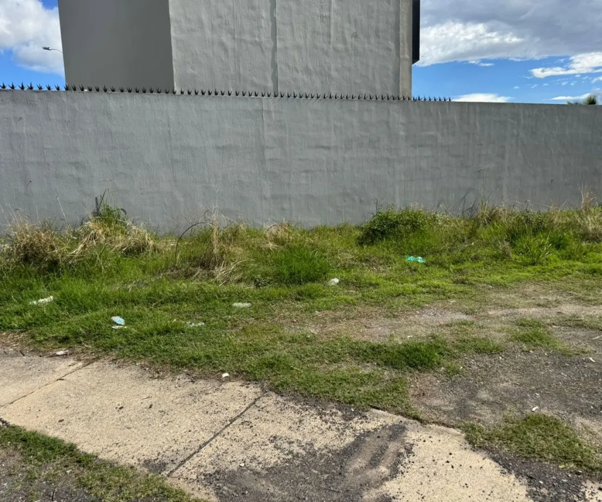 Terreno En Venta,Avenida Real del Valle 0 0, Tlajomulco de Zúñiga, Jalisco 45654,Avenida Real del Valle,pKCiP1I