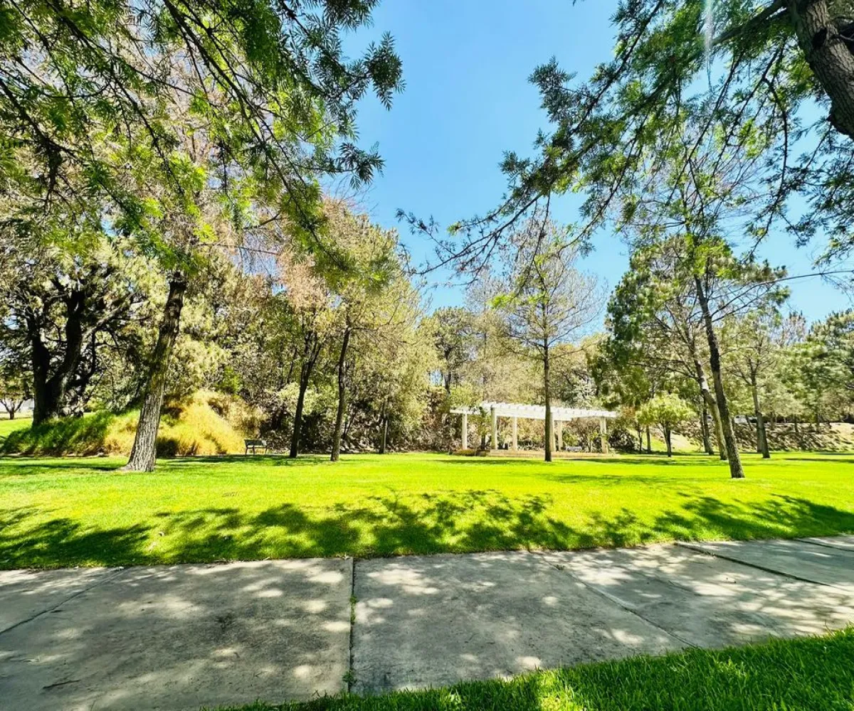 Terreno En Venta,Vallarta Universidad,Av. Juan Palomar y Arias 1249, Zapopan, Jalisco 45110,Av. Juan Palomar y Arias,pa36mFX