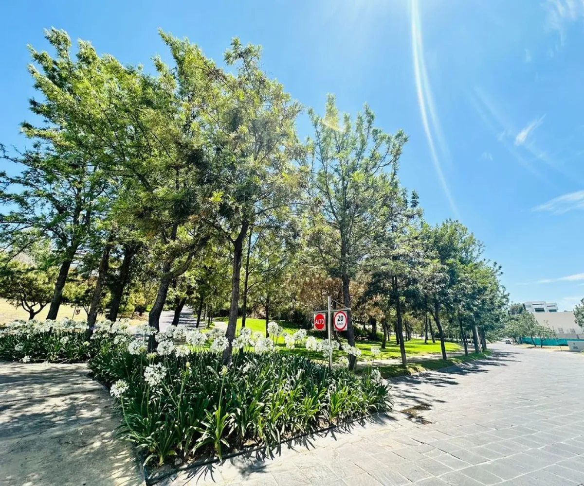 Terreno En Venta,Vallarta Universidad,Av. Juan Palomar y Arias 1249, Zapopan, Jalisco 45110,Av. Juan Palomar y Arias,pa36mFX