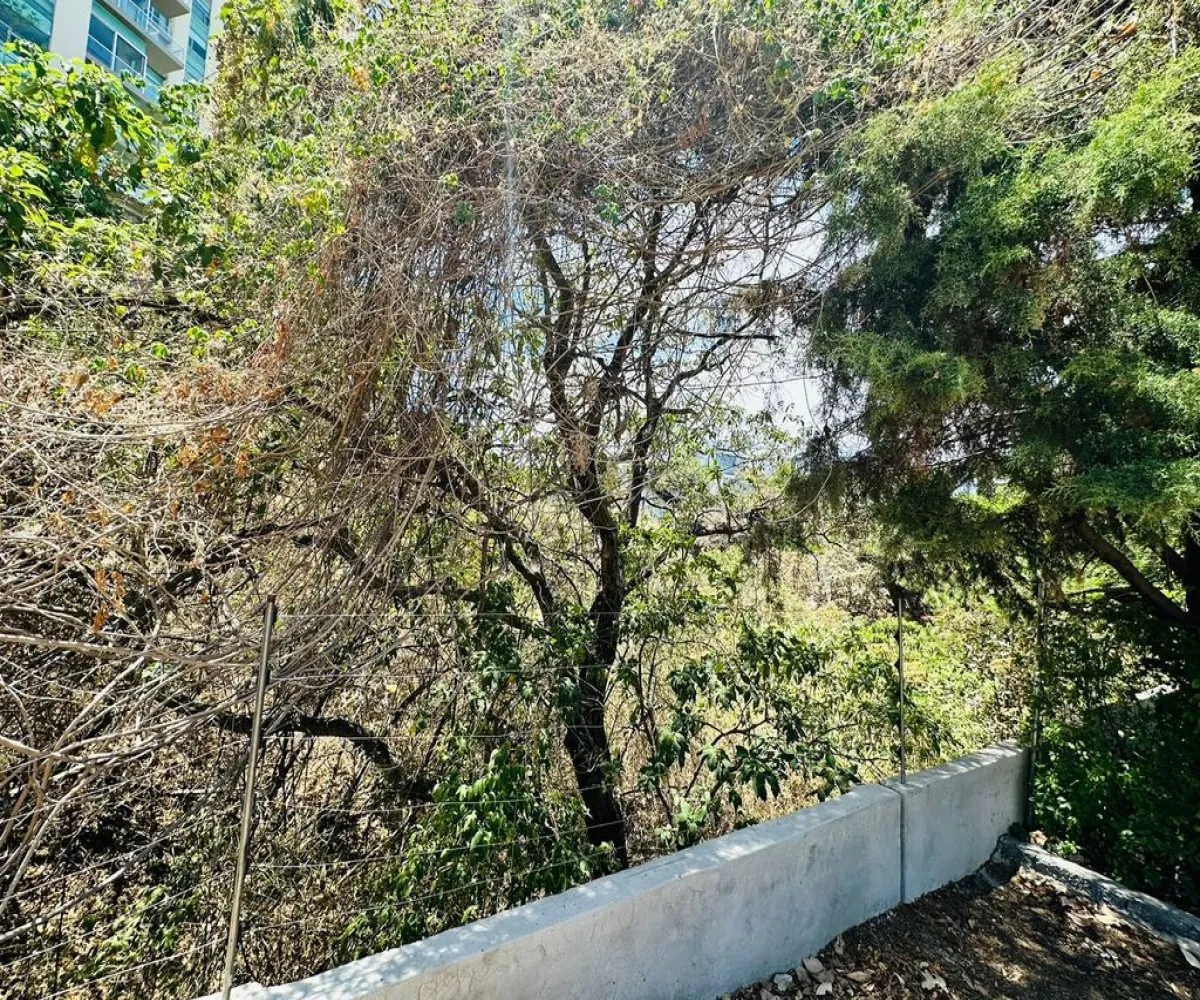 Terreno En Venta,Vallarta Universidad,Av. Juan Palomar y Arias 1249, Zapopan, Jalisco 45110,Av. Juan Palomar y Arias,pa36mFX