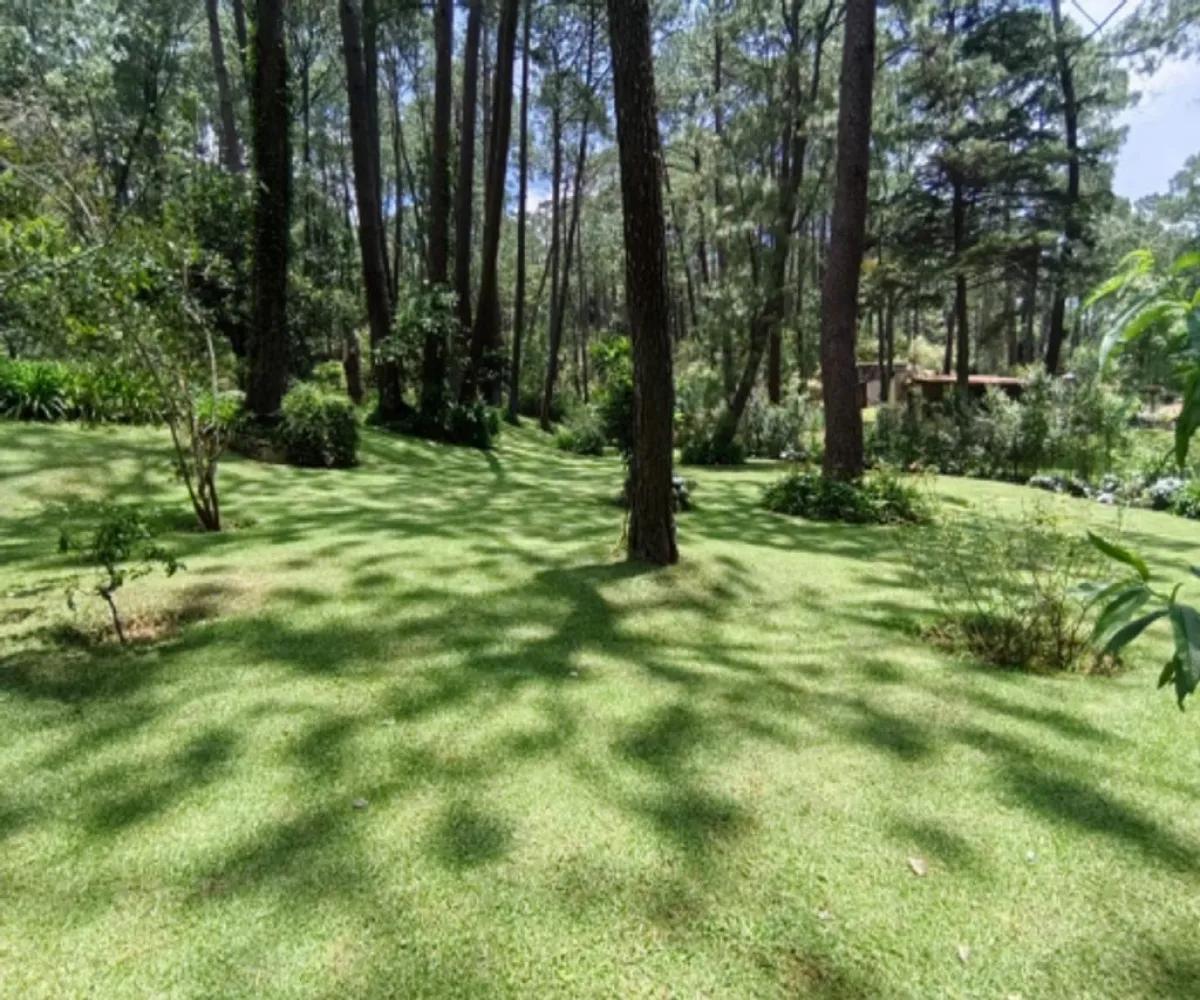 Casa En Venta,Los Cazos,Herradura 11, Mazamitla, Jalisco 49500, 4 Habitaciones,4 Baños,Herradura,1,pJa2XEq