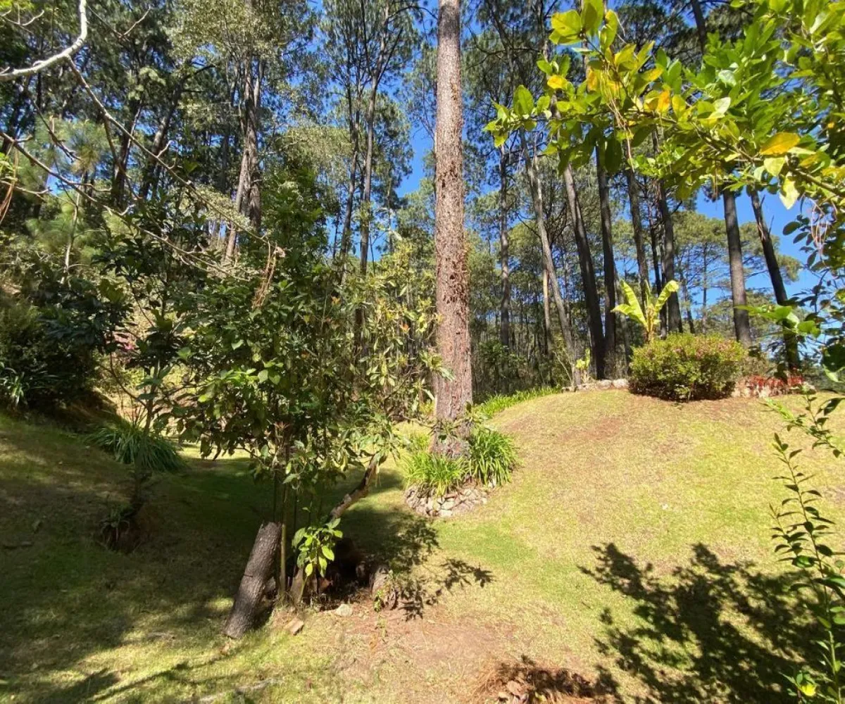 Casa En Venta,Los Cazos,Herradura 11, Mazamitla, Jalisco 49500, 4 Habitaciones,4 Baños,Herradura,1,pJa2XEq