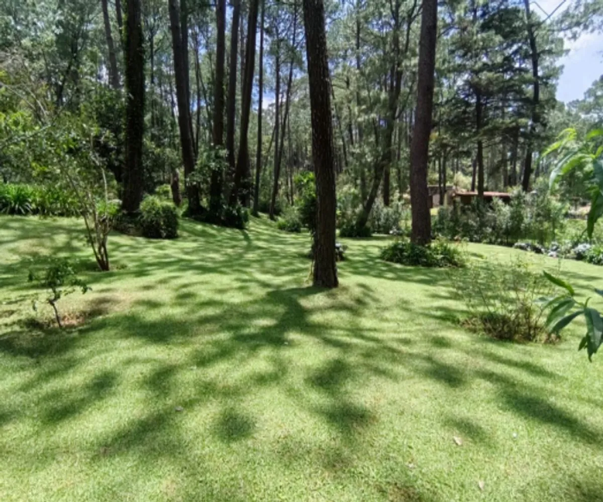 Terreno En Venta,Los Castaños,Herradura 11, Mazamitla, Jalisco 49500,Herradura,pi52rK3