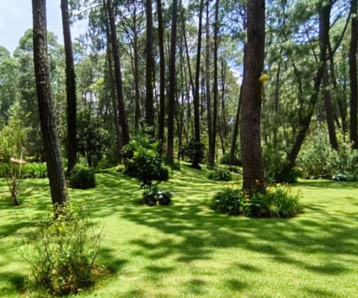 Terreno En Venta,Los Castaños,Herradura 11, Mazamitla, Jalisco 49500,Herradura,pi52rK3