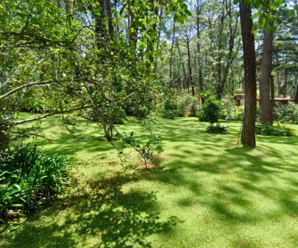 Terreno En Venta,Los Castaños,Herradura 11, Mazamitla, Jalisco 49500,Herradura,pi52rK3