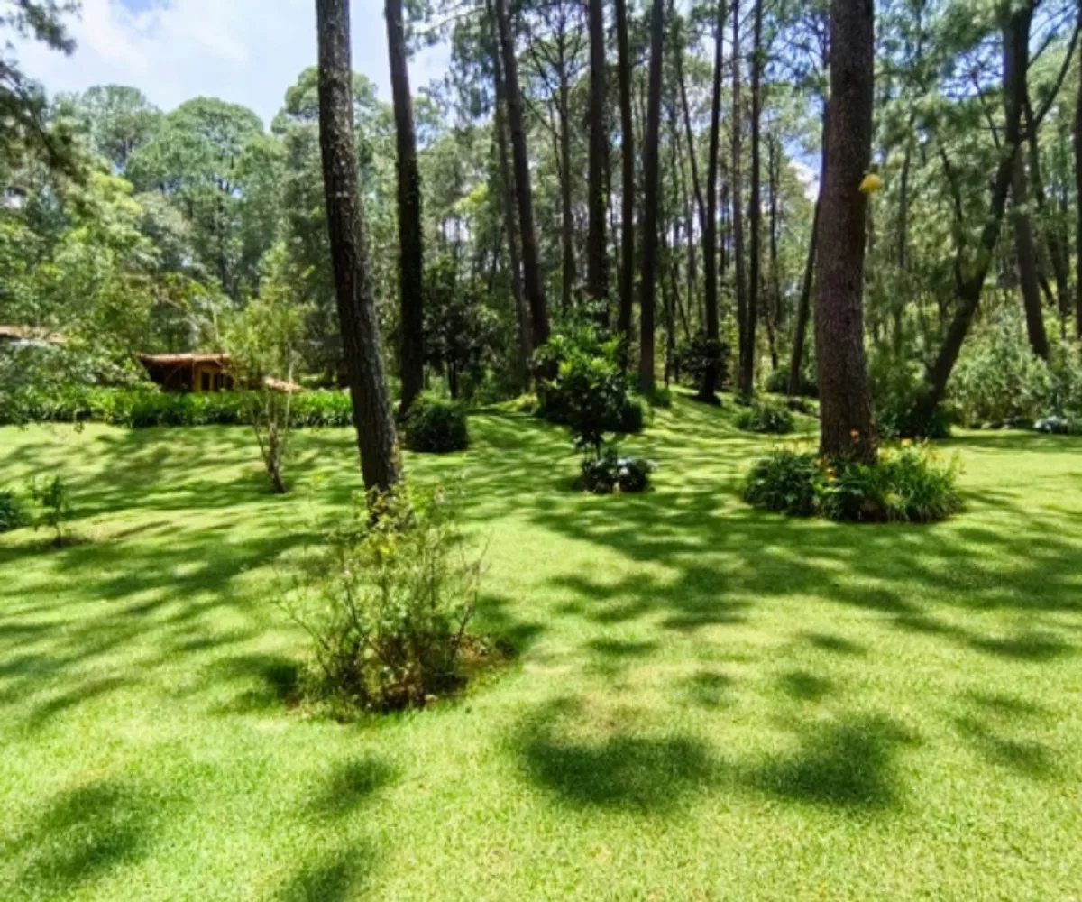 Terreno En Venta,Los Castaños,Herradura 11, Mazamitla, Jalisco 49500,Herradura,pi52rK3