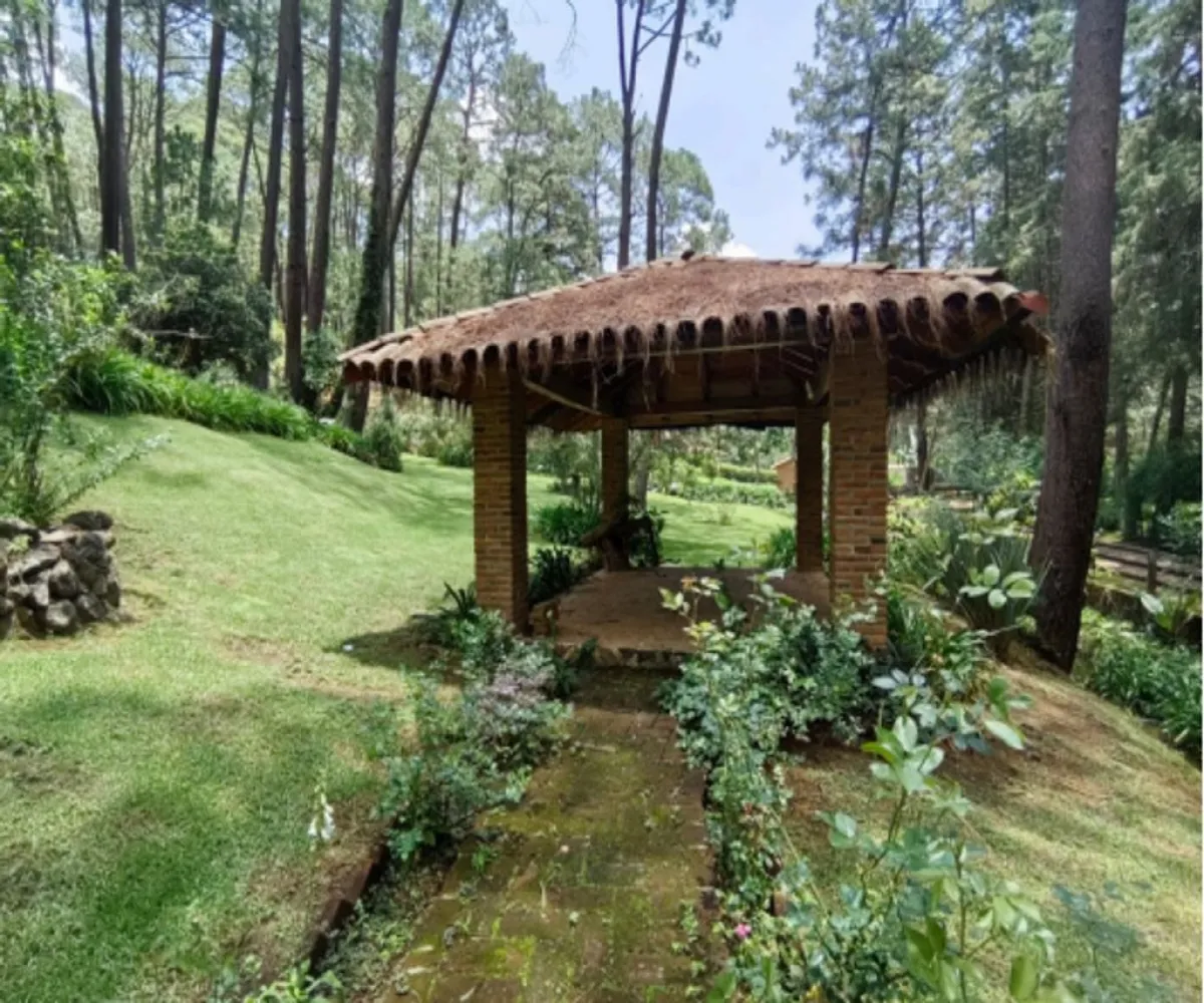 Terreno En Venta,Los Castaños,Herradura 11, Mazamitla, Jalisco 49500,Herradura,pi52rK3