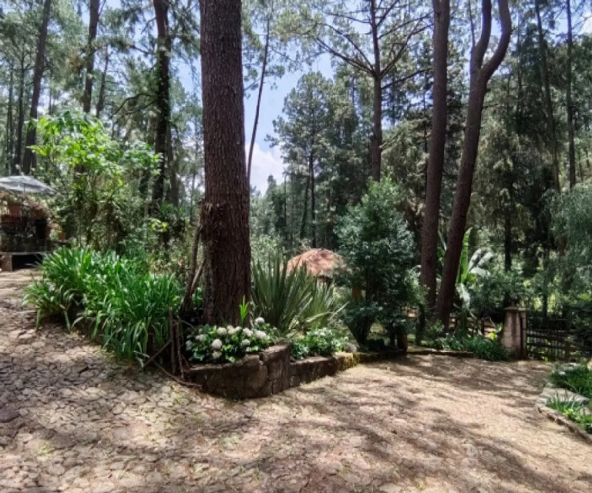 Terreno En Venta,Los Castaños,Herradura 11, Mazamitla, Jalisco 49500,Herradura,pi52rK3