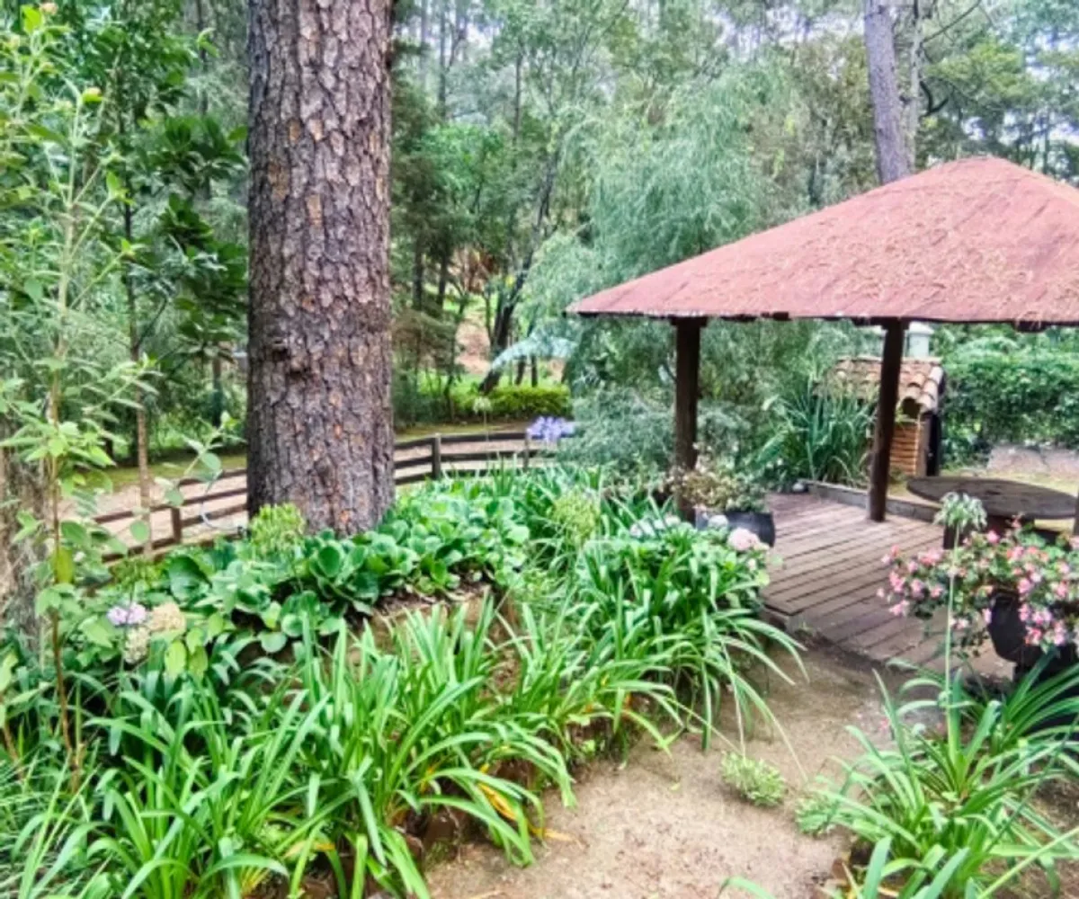 Terreno En Venta,Los Castaños,Herradura 11, Mazamitla, Jalisco 49500,Herradura,pi52rK3