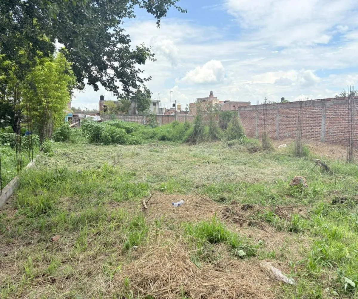 Terreno En Venta,Centro,Calle Michoacan 89, Vista Hermosa, Michoacán de Ocampo 59200,Calle Michoacan,pkS97Ma