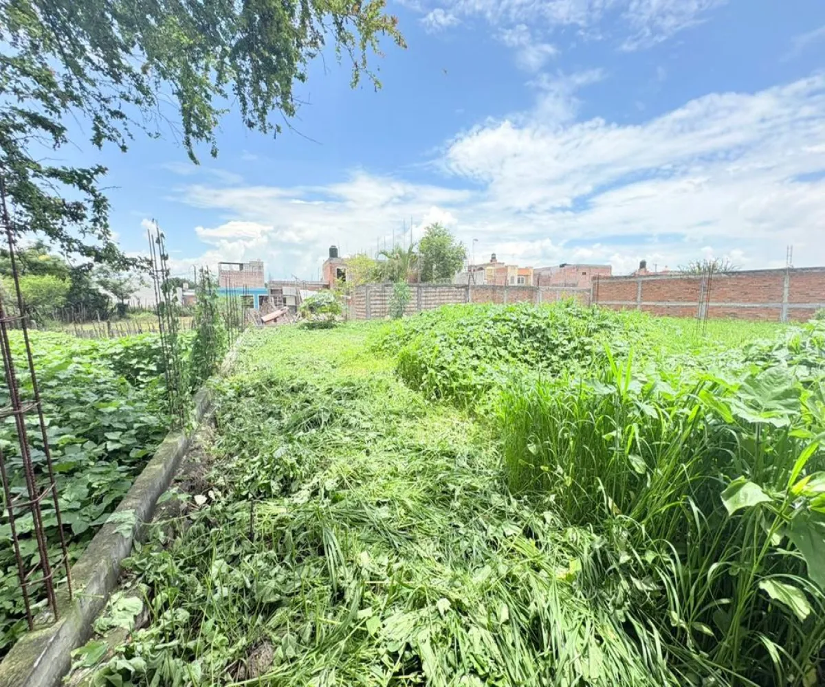 Terreno En Venta,Centro,Calle Michoacan 89, Vista Hermosa, Michoacán de Ocampo 59200,Calle Michoacan,pkS97Ma