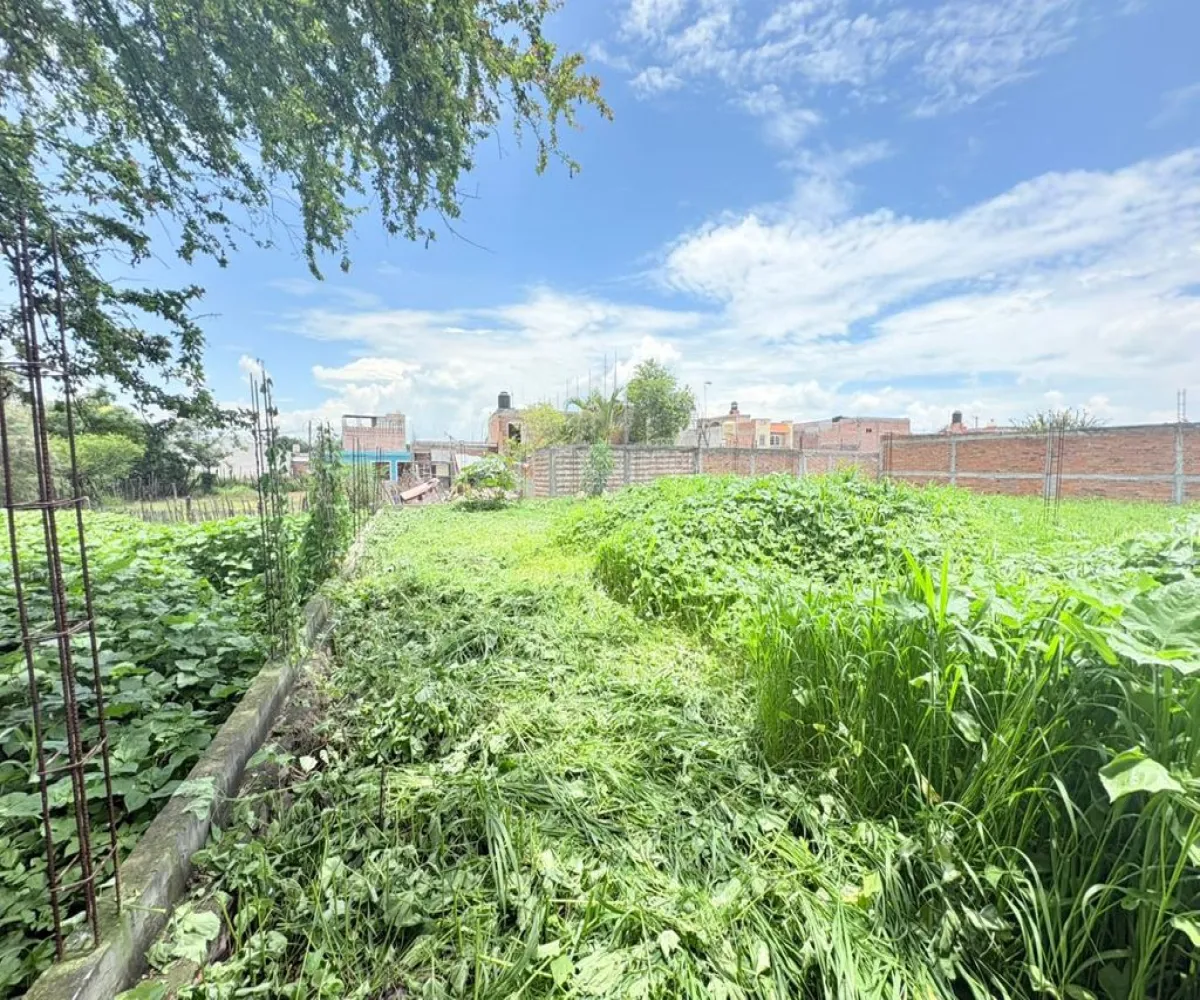 Terreno En Venta,Centro,Calle Michoacan 89, Vista Hermosa, Michoacán de Ocampo 59200,Calle Michoacan,pkS97Ma