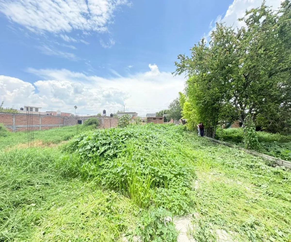 Terreno En Venta,Centro,Calle Michoacan 89, Vista Hermosa, Michoacán de Ocampo 59200,Calle Michoacan,pkS97Ma