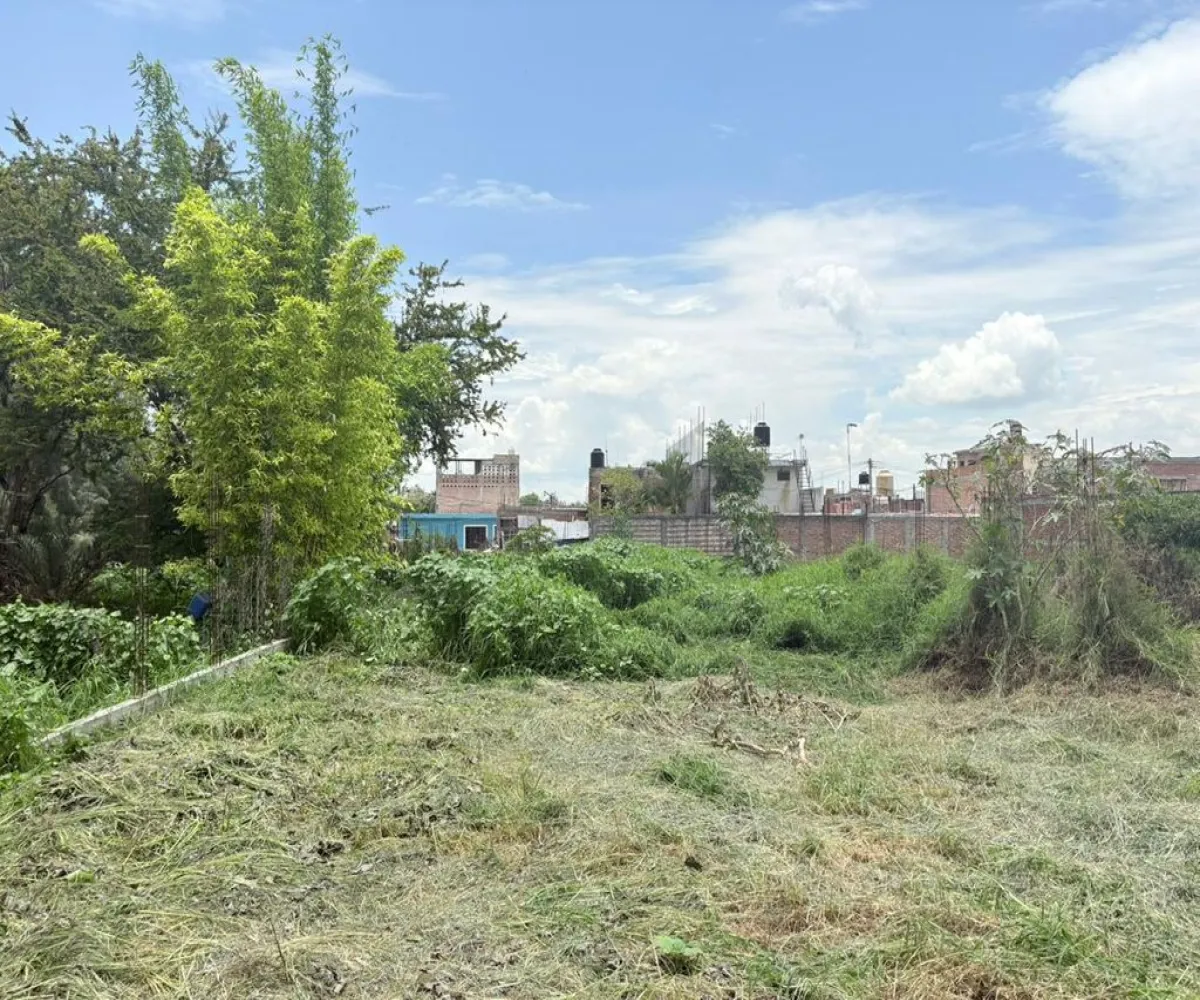 Terreno En Venta,Centro,Calle Michoacan 89, Vista Hermosa, Michoacán de Ocampo 59200,Calle Michoacan,pkS97Ma