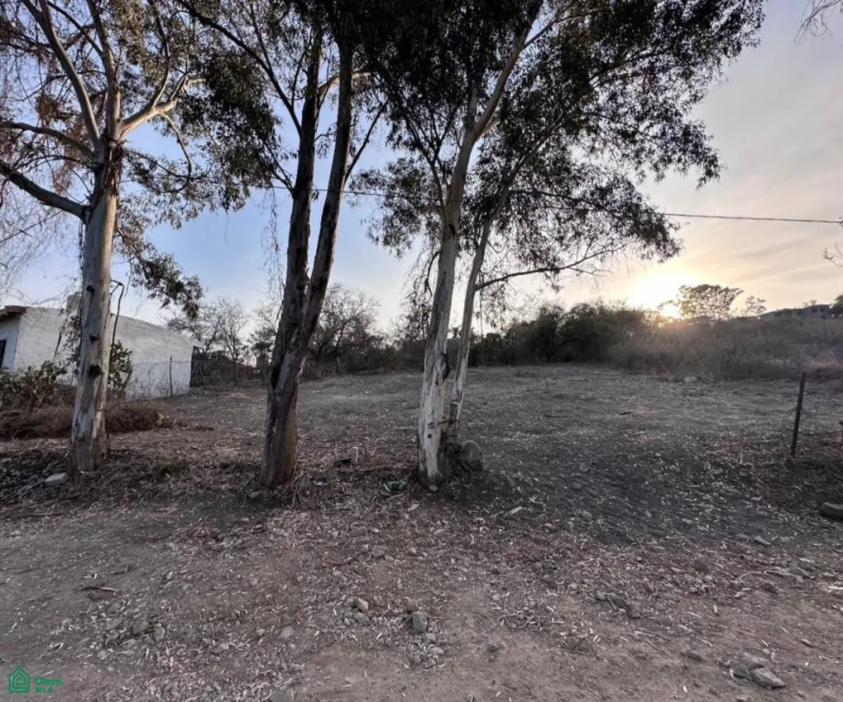 Terreno En Venta,Santa Cruz de La Soledad,Camino al Ceinjure 40, Chapala, Jalisco 45935,Camino al Ceinjure,MX24637215