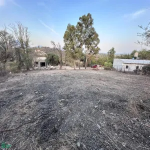 Terreno En Venta,Santa Cruz de La Soledad,Camino al Ceinjure 40, Chapala, Jalisco 45935,Camino al Ceinjure,MX24637215