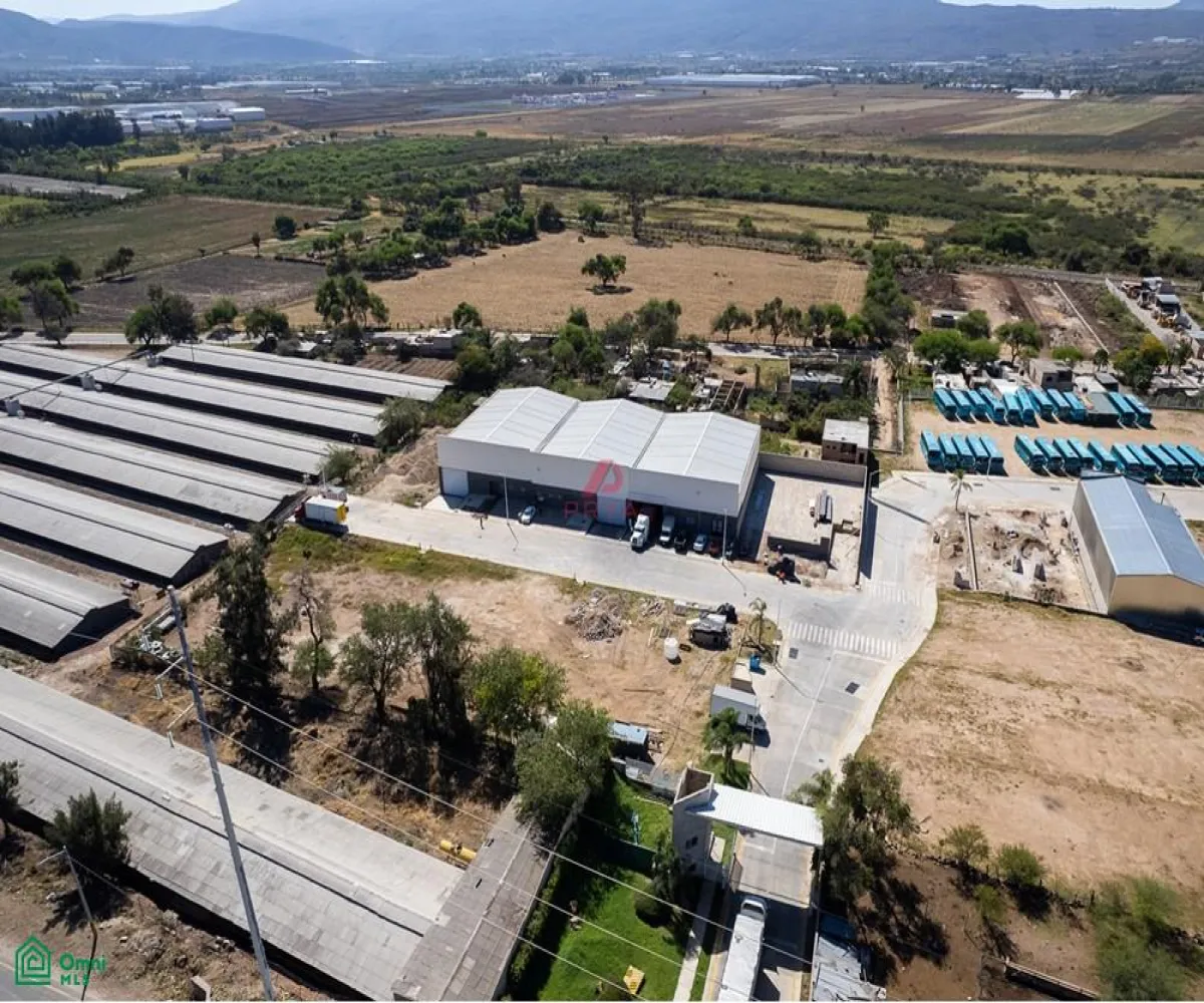 Edificio En Renta,Santa Cruz de la Loma (Tepetates),Santa Cruz de las flores A05, Tlajomulco de Zuniga, Jalisco 45644,Santa Cruz de las flores,MX24647336