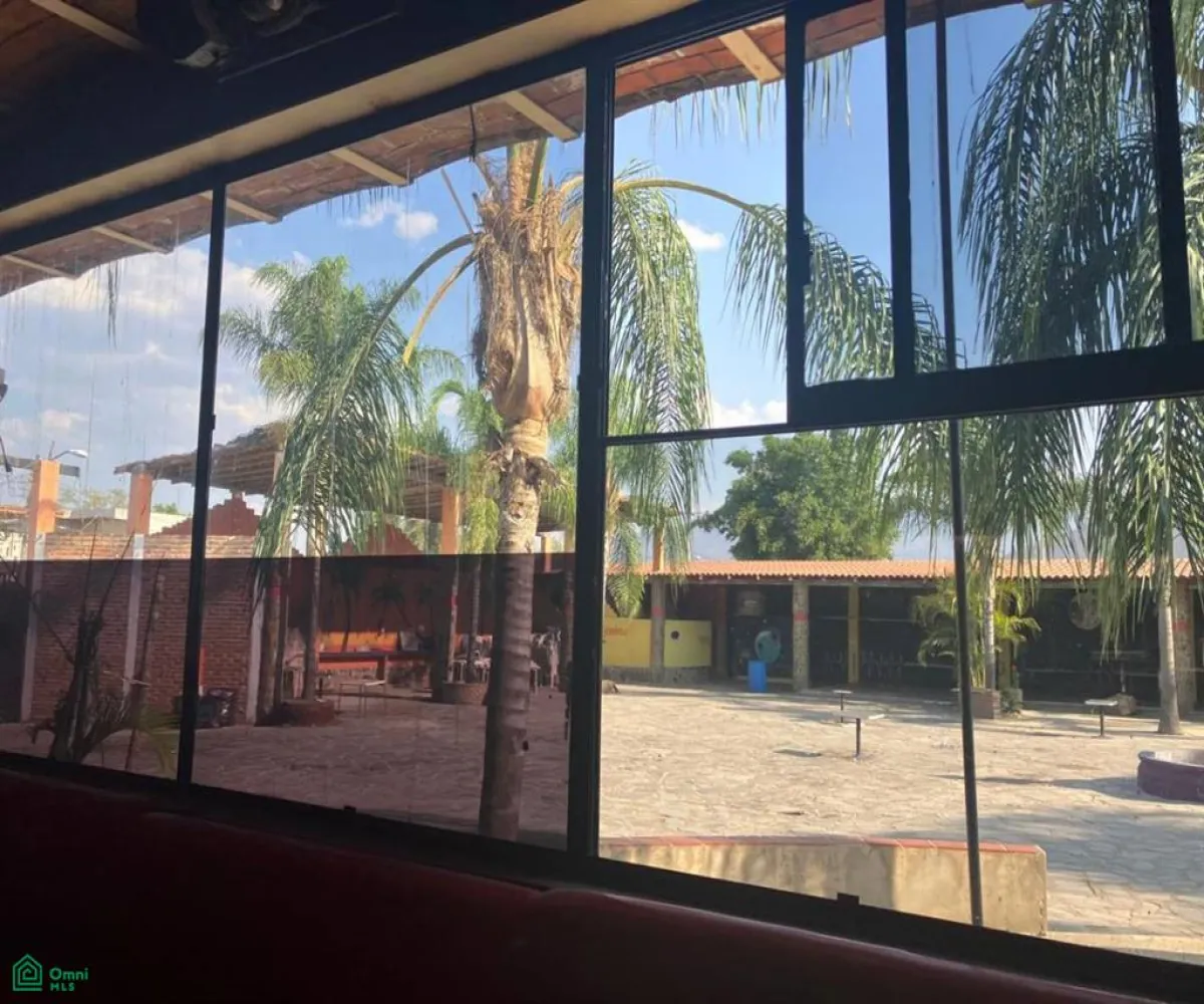 Edificio En Venta,Tlajomulco Centro,Alcalde 74, Tlajomulco de Zuniga, Jalisco 45640,Alcalde,1,MX24654189