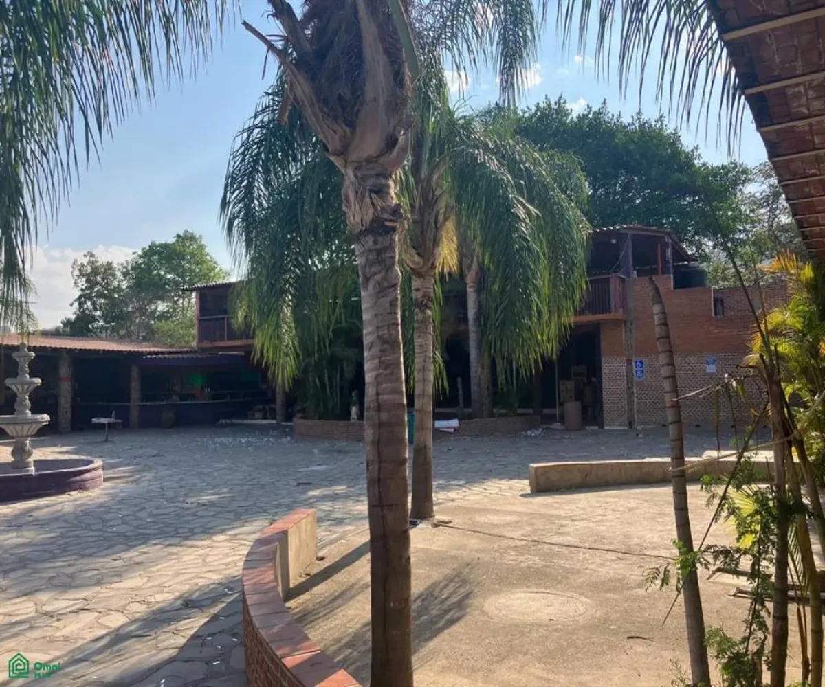 Edificio En Venta,Tlajomulco Centro,Alcalde 74, Tlajomulco de Zuniga, Jalisco 45640,Alcalde,1,MX24654189