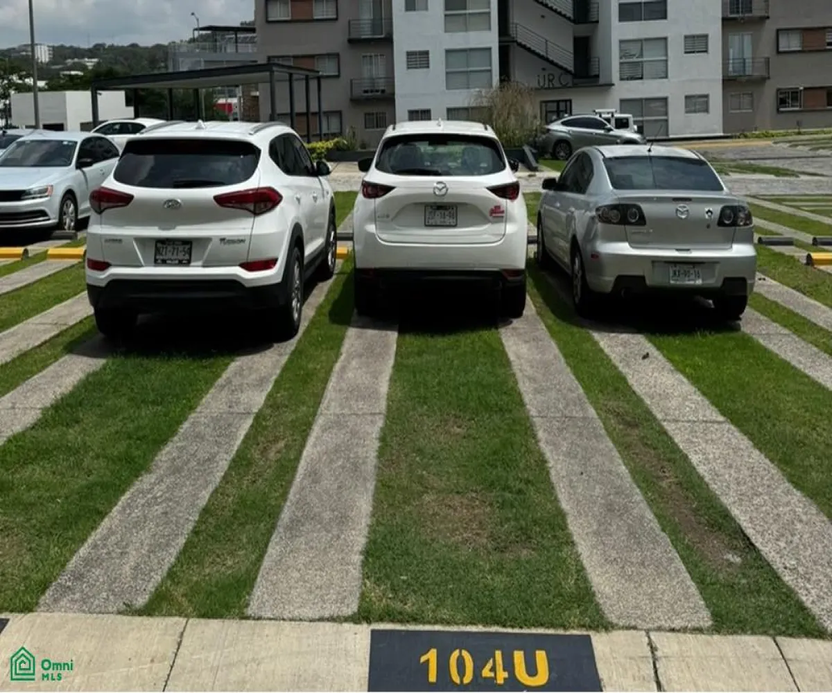 Edificio En Venta,Fraccionamiento Cañadas de San Lorenzo,AVENIDA TORREMOLINOS 3500, Zapopan, Jalisco 45130, 2 Habitaciones,2 Baños,AVENIDA TORREMOLINOS,1,MX24676393